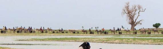 LAKE CHAD, A JOURNEY BETWEEN ANVIL AND HAMMER
