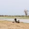 LAKE CHAD, A JOURNEY BETWEEN ANVIL AND HAMMER
