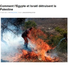 Egypte_Israel_Palestine
