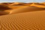 COME PERSINO LA FORMICA MAURITANIA CAMBIA GLI EQUILIBRI DEL MONDO